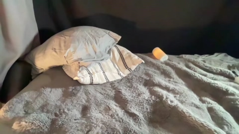 kaileeshy  25-11-2022